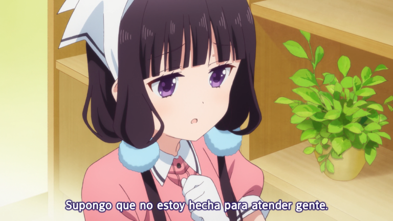 blend-s-08img_69dd57c81d4e3